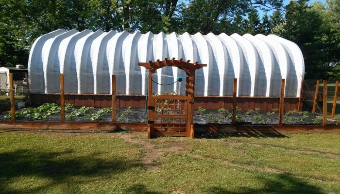 pergola